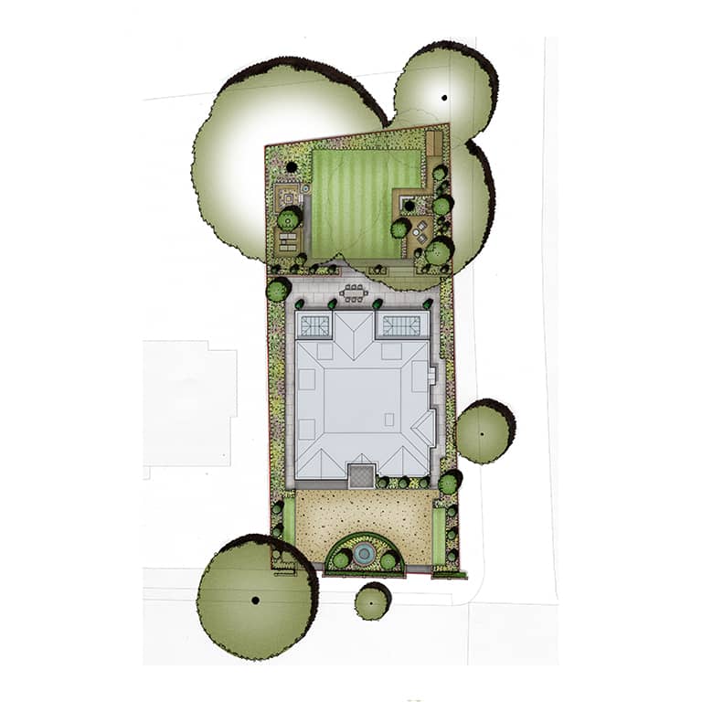 Modern Woodland Garden in Beckenham