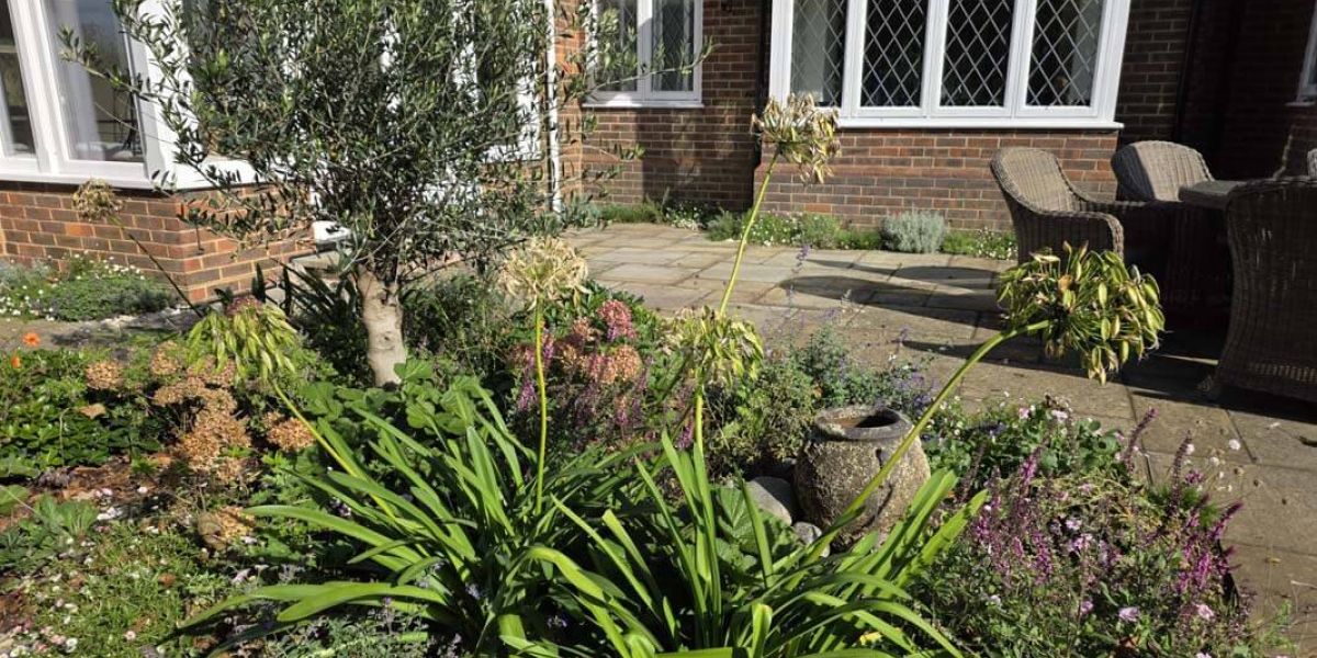 Countryside Escape And Cottage Garden (Downe)