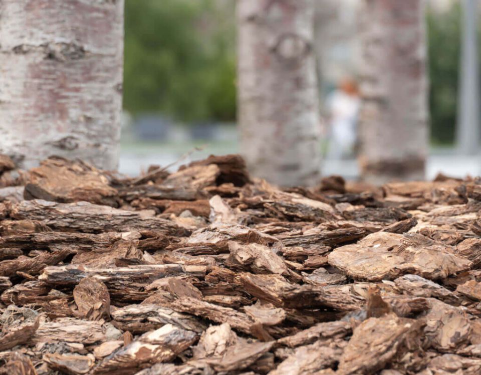 mulch on ground