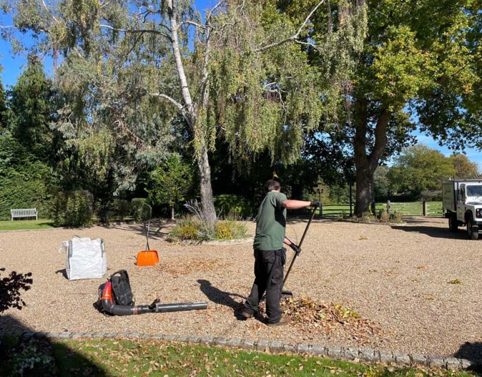A worker clears fallen leaves from a gravel driveway using a leaf blower. Gardening equipment and a utility vehicle are nearby, with large trees and landscaped grounds surrounding the area.