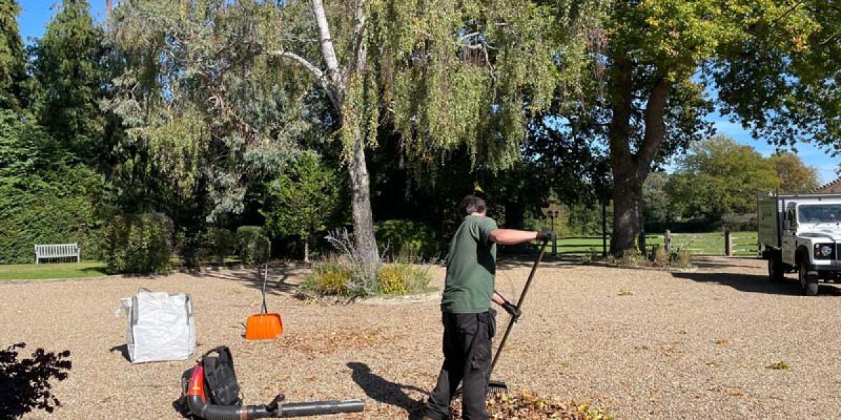 A worker clears fallen leaves from a gravel driveway using a leaf blower. Gardening equipment and a utility vehicle are nearby, with large trees and landscaped grounds surrounding the area.