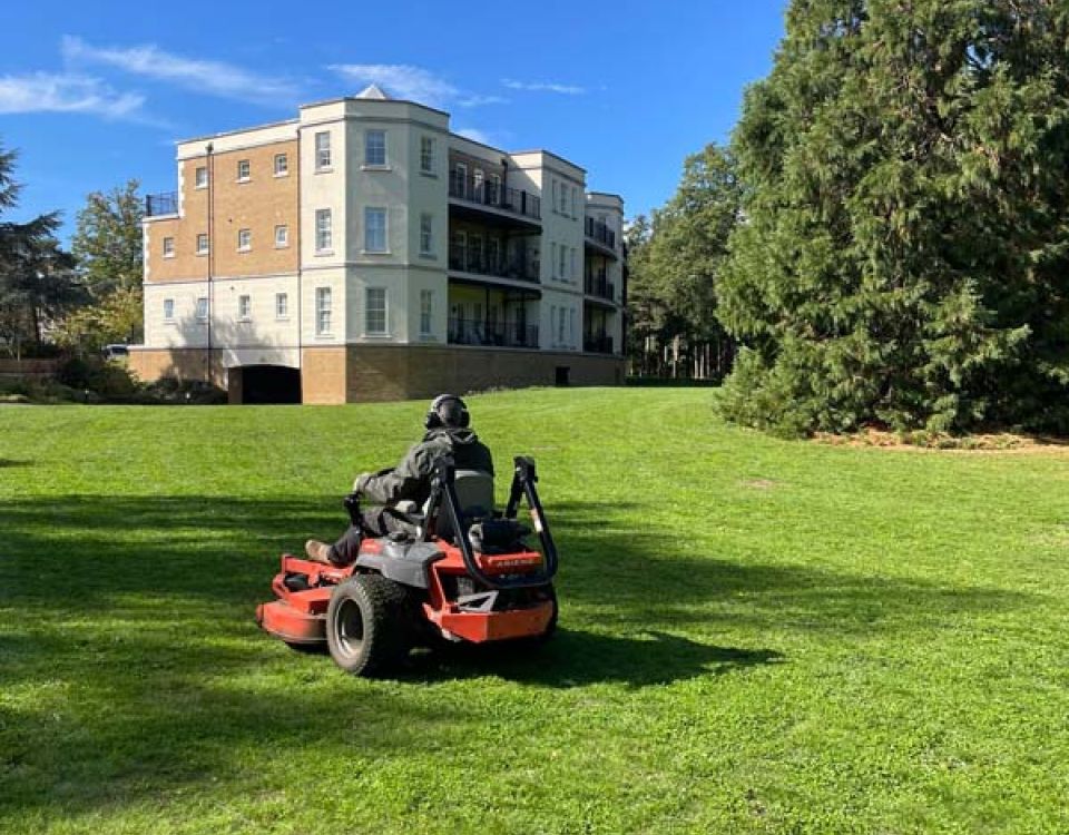 A grounds maintenance worker drives a ride-on lawn mower across a large green lawn in front of a residential apartment building. Mature trees and a bright blue sky frame the scene.