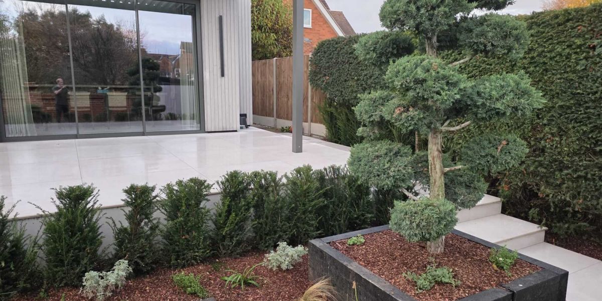 Modern landscaped garden featuring a light-coloured tiled patio and contemporary garden room beneath a louvred pergola. A sculpted topiary tree sits in a raised dark stone planter, surrounded by evergreen hedging, bark mulch, and neatly arranged planting beds.