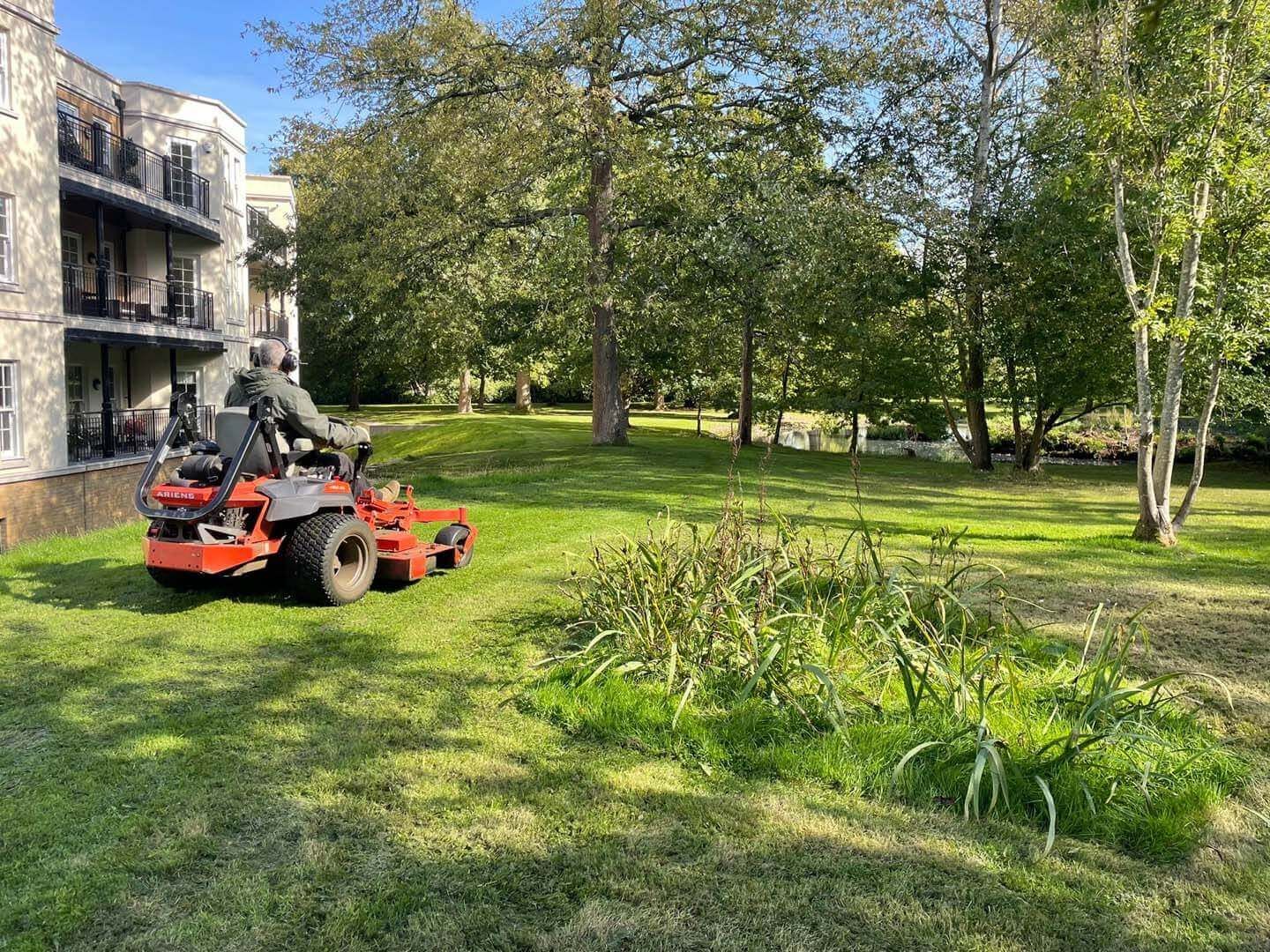 A picturesque garden, inviting relaxation and socializing.