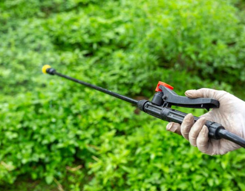A gloved hand holds a spray lance with a trigger handle, aimed toward dense green vegetation. The image shows the application of a treatment or spray in an outdoor garden setting.