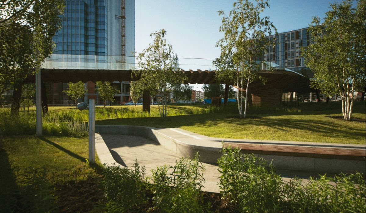 A landscaped urban park in warm late-afternoon sunlight, featuring curved concrete seating and a wooden bench surrounded by grasses and young birch trees.