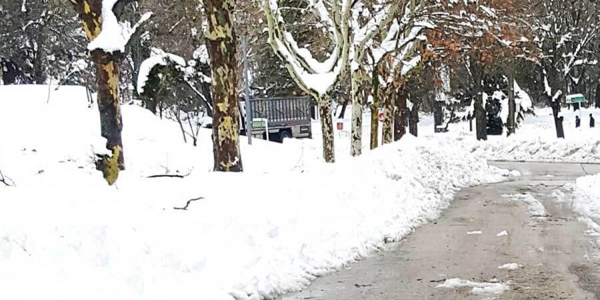 A snow-covered road lined with bare trees stretches through a winter landscape. Snowbanks edge the roadway, while the cleared surface appears wet and treated for safer travel.