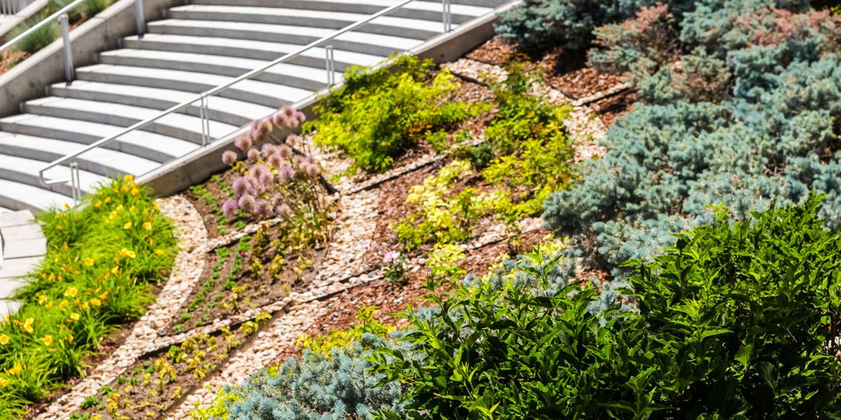 Landscaped sloping garden beside a wide concrete staircase with metal handrails. The hillside is planted with a mix of ornamental shrubs, flowering perennials, and low-growing evergreens arranged in flowing bands.