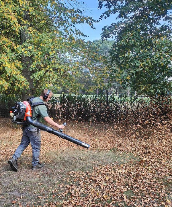 A man walks through a field, using a leaf blower to clear leaves and debris from the ground. 