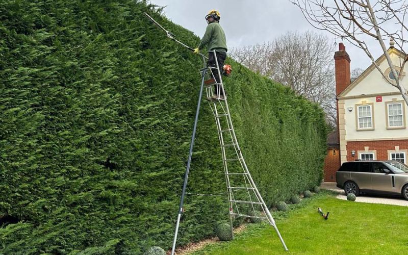 A person is actively cutting a tree branch, highlighting outdoor maintenance work.  