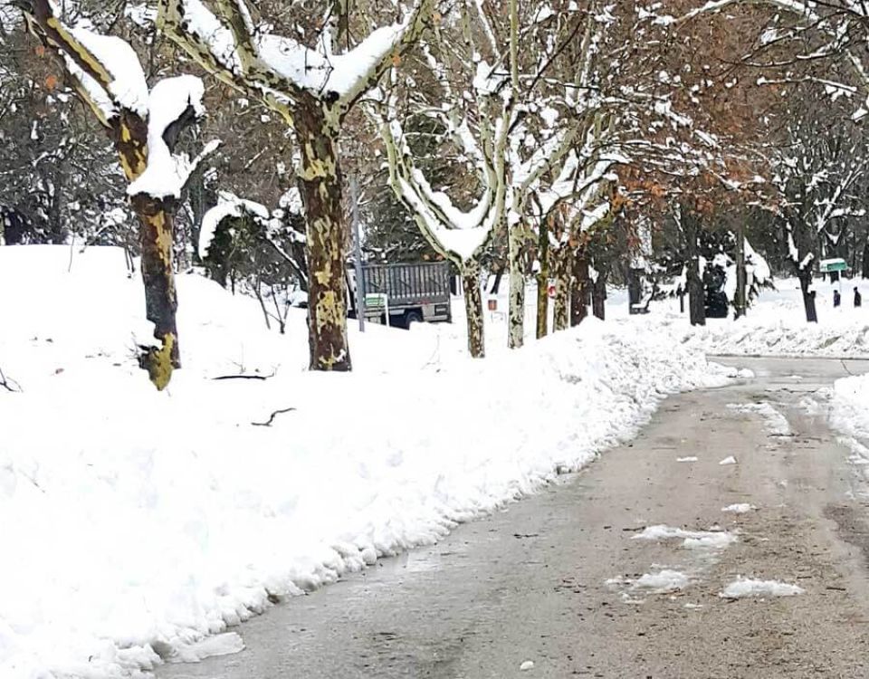 A snow-covered road lined with bare trees stretches through a winter landscape. Snowbanks edge the roadway, while the cleared surface appears wet and treated for safer travel.