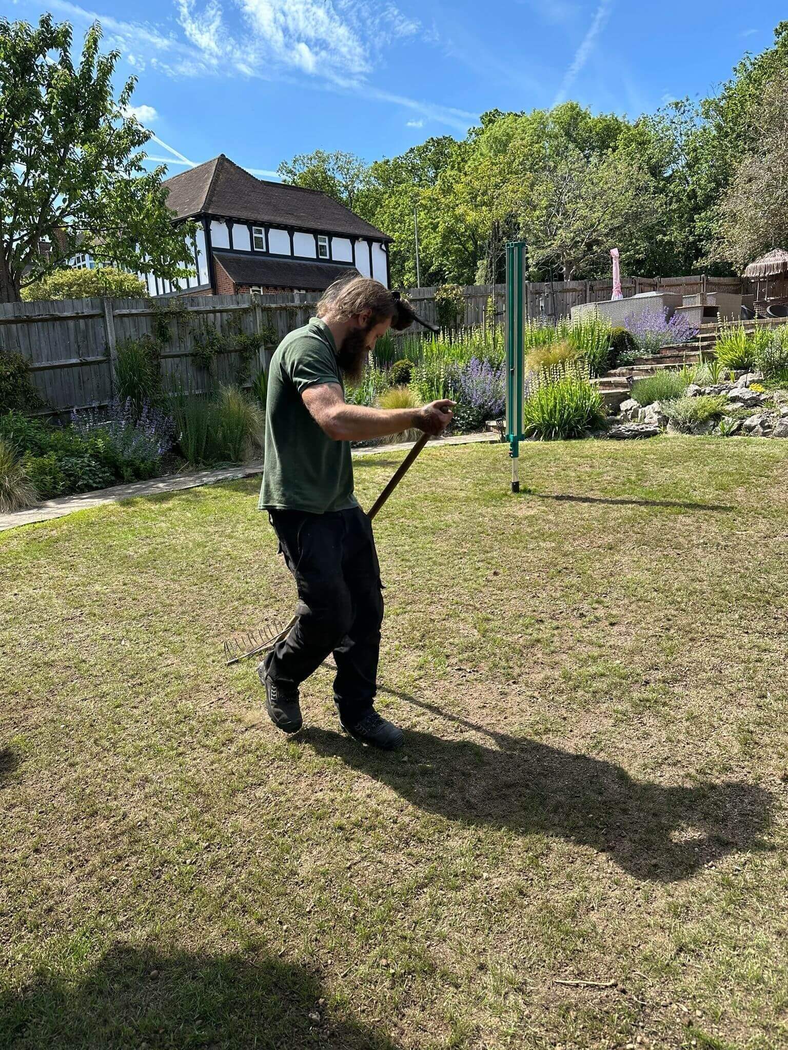 A person in a green polo shirt and dark work trousers rakes a dry, patchy lawn in a sunny landscaped garden.